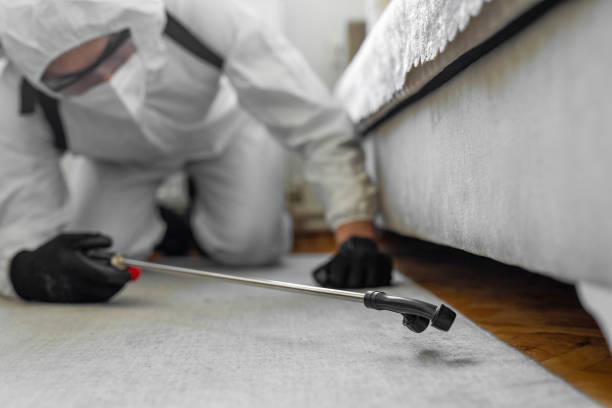 Professional Bed Bug Control technician working in Kensington, CT