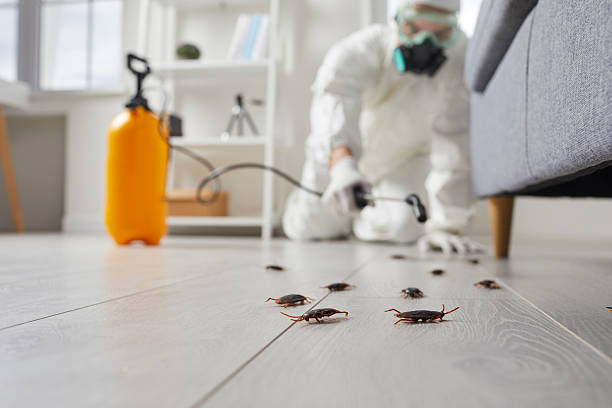 Trusted Cockroach Control service in Kensington, CT - Nex Pest Control